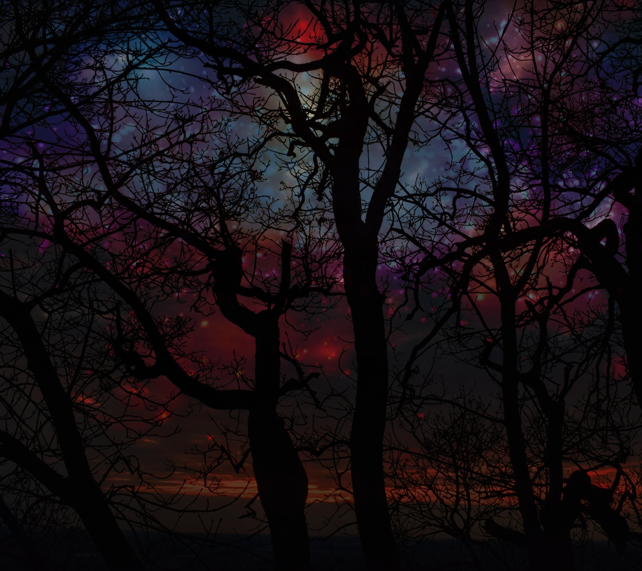 kenan_mansur's profile banner image