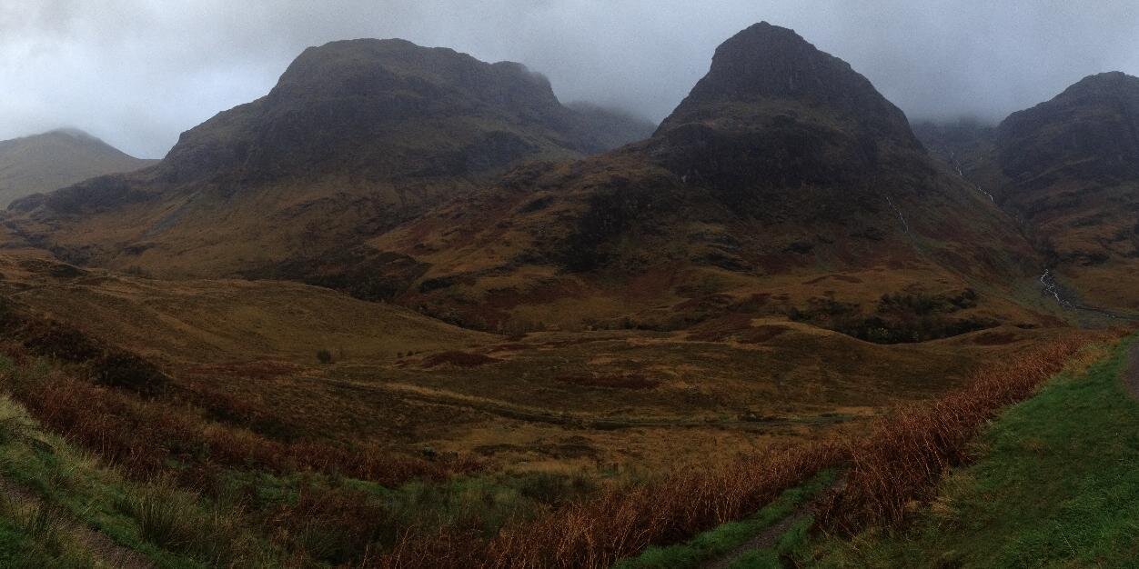 Scarlet Rose 🖤 banner