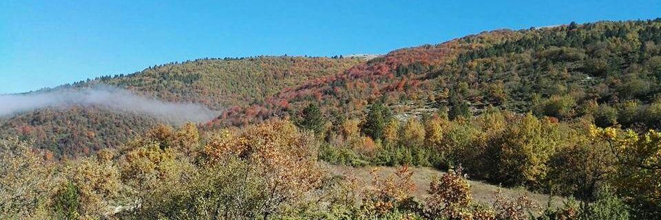 Filippo Sensi banner