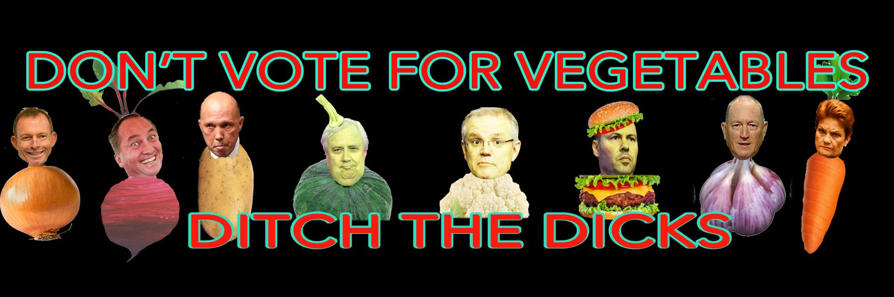 Ditch the Dicks banner