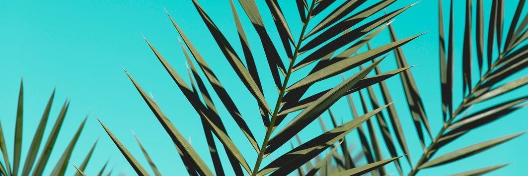 irinafassi's profile banner image