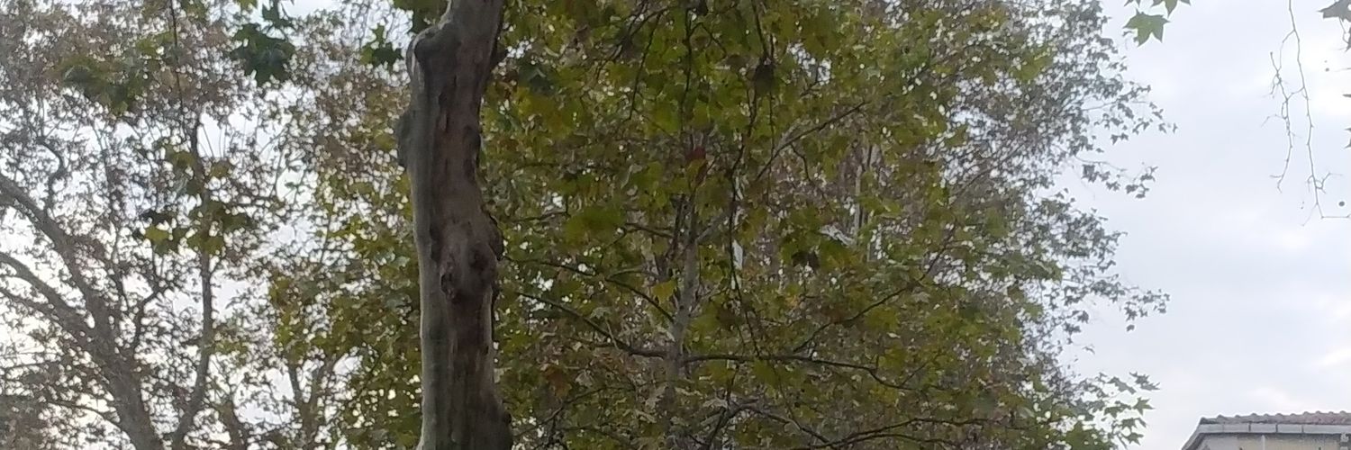 bilmiyorum85's profile banner image