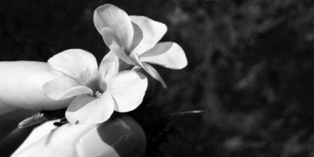 Tenealio's profile banner image