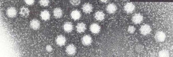 VirusentUB Profile Banner