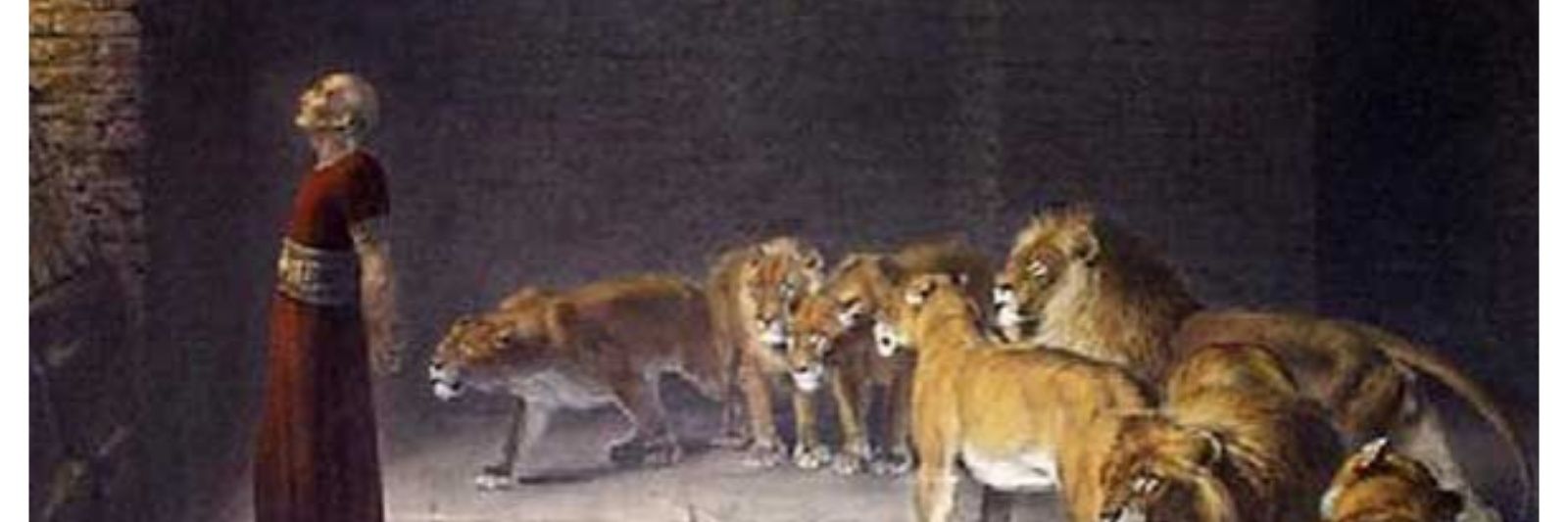 Leogbsf's profile banner image