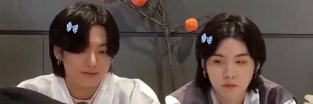 ✧˚ · . banner