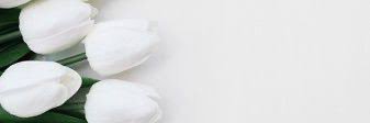 amki8888's profile banner image