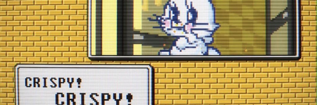 ikuraccc's profile banner image