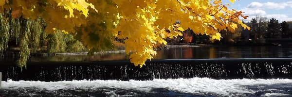 LawrenceSchecht Profile Banner