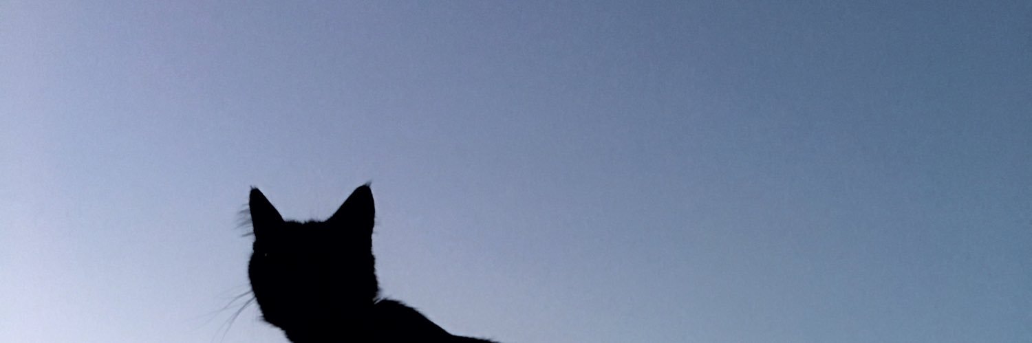 vanessabw's profile banner image
