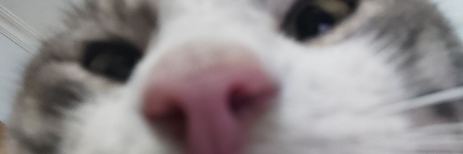 mannolyaaa's profile banner image