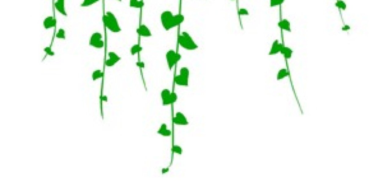 Vines101's profile banner image