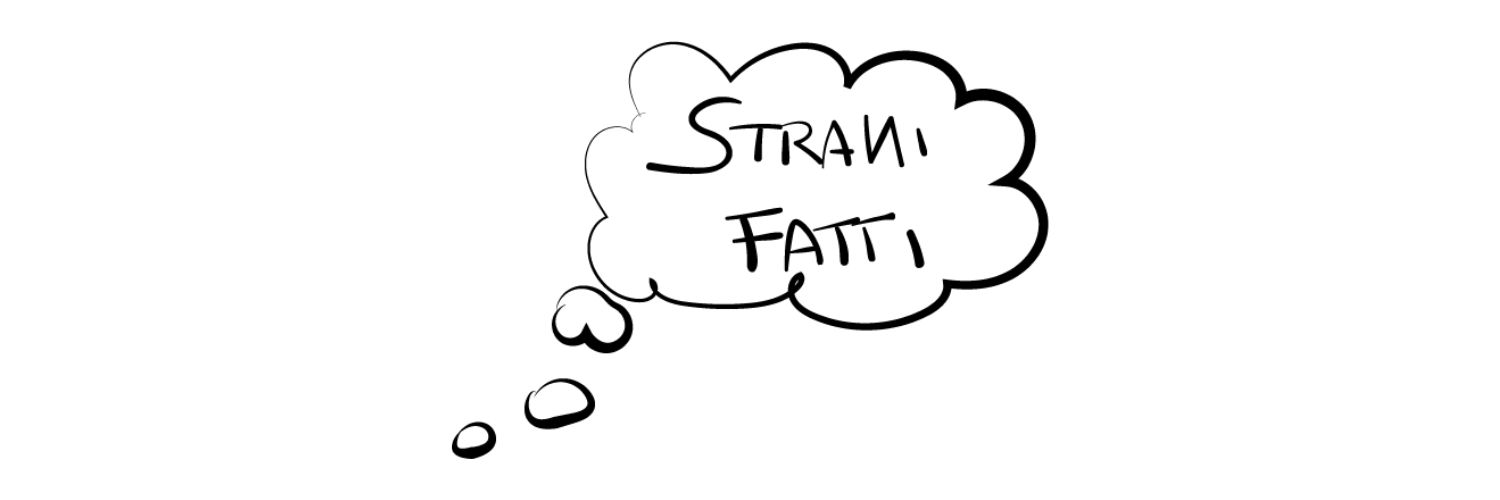 Matteo. banner