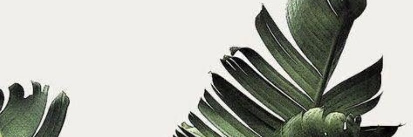 Stacey257's profile banner image