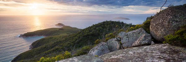 ChrisPauciflora Profile Banner