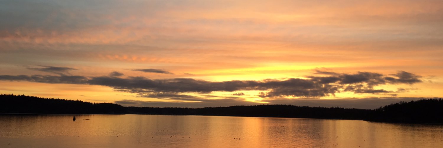 compsingh's profile banner image