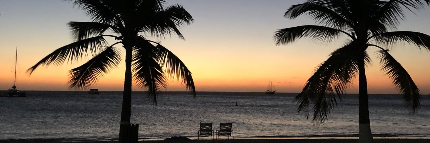 GoesDownInTheEM's profile banner image
