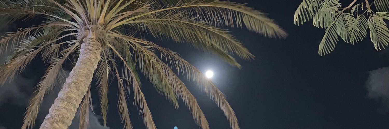 Saraoun_'s profile banner image
