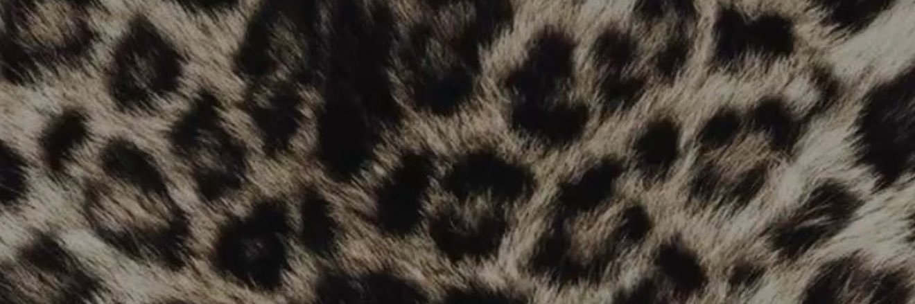 saadee__'s profile banner image