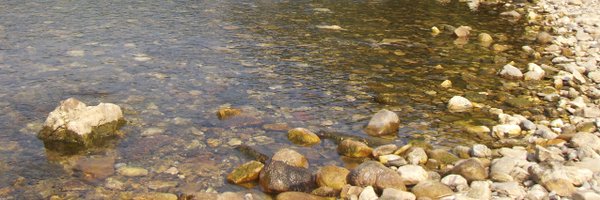 DirkCraeynest Profile Banner