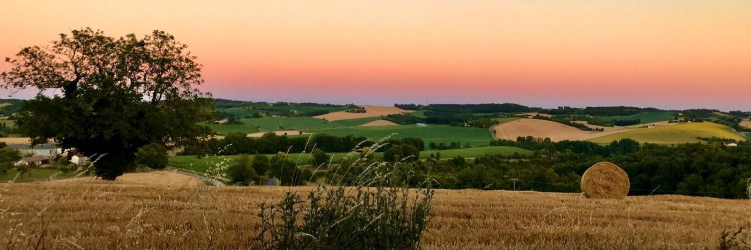A New Life in the Sun C4 banner
