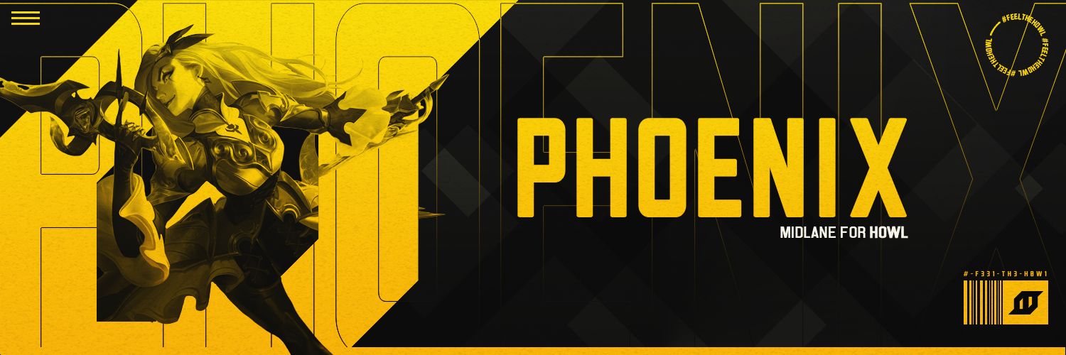 MidPhoenixx's profile banner image