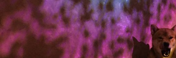 tendertike's profile banner image