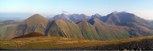 BetsiResearch Profile Banner