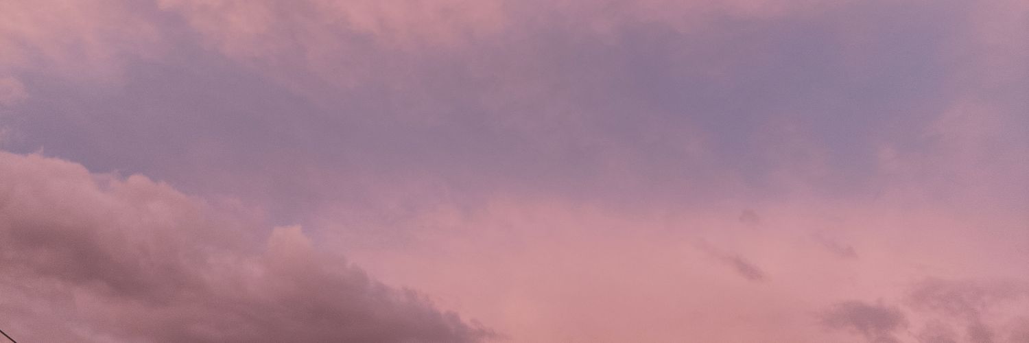 sanchane_e's profile banner image