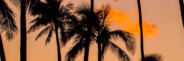 kittymariah12's profile banner image