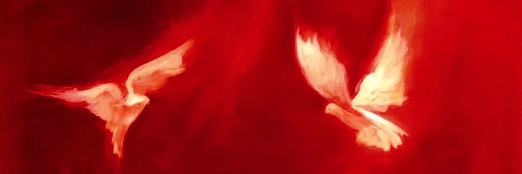 pinnipeddd's profile banner image