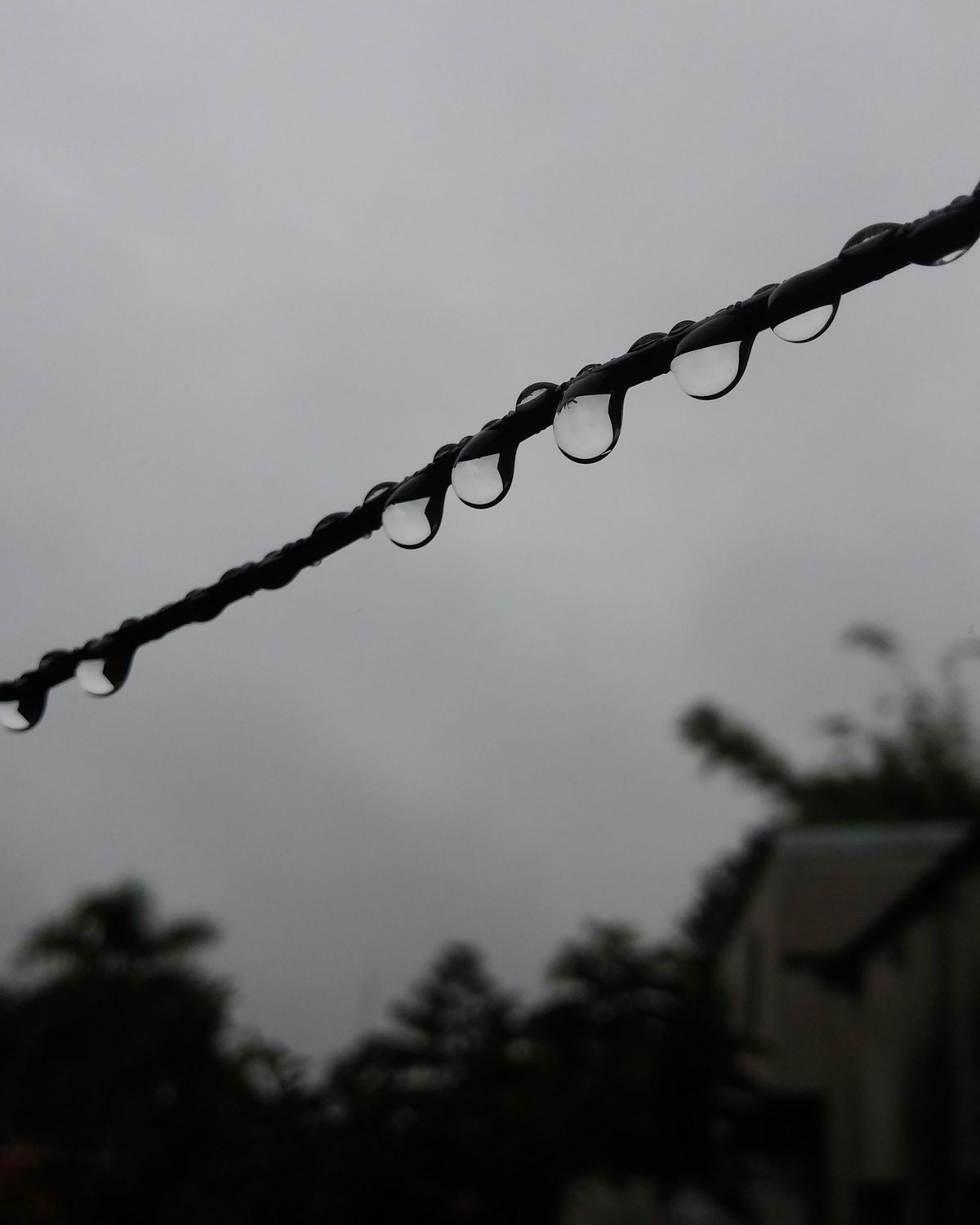Agua banner