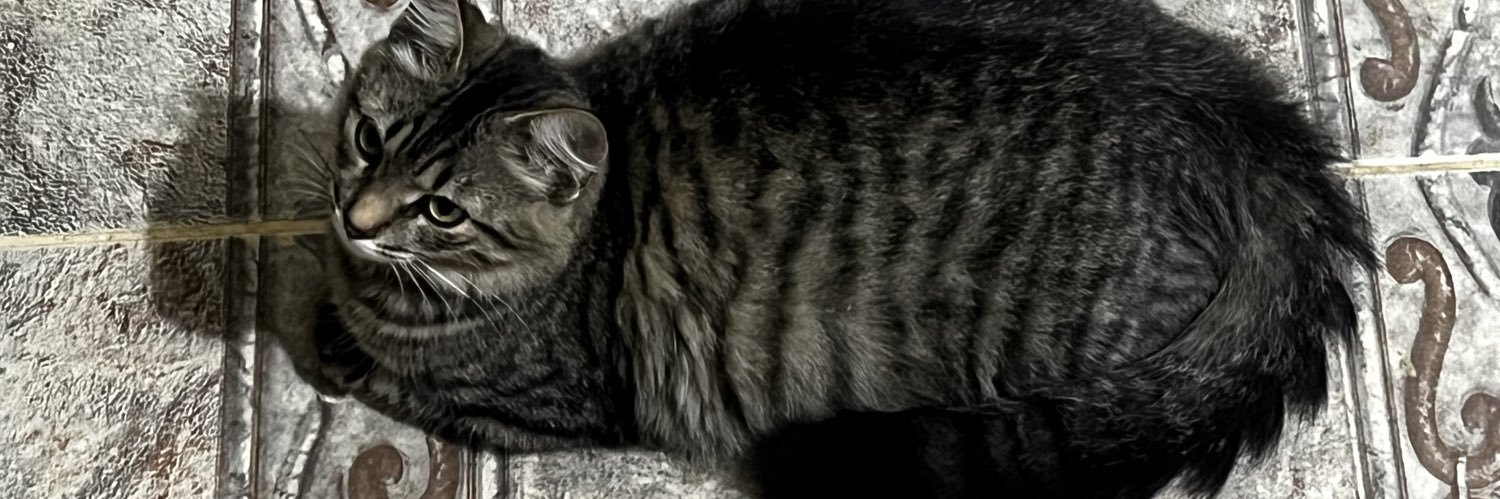 Manuela banner