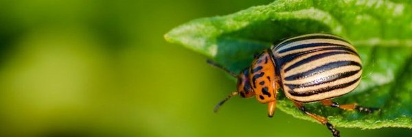 ToxicPlantLab Profile Banner