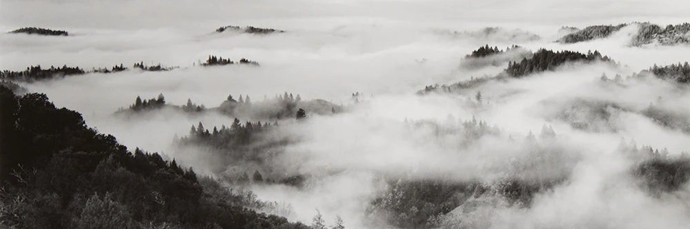 JackLeFay's profile banner image