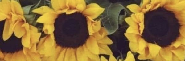 CeeJay0123 Profile Banner