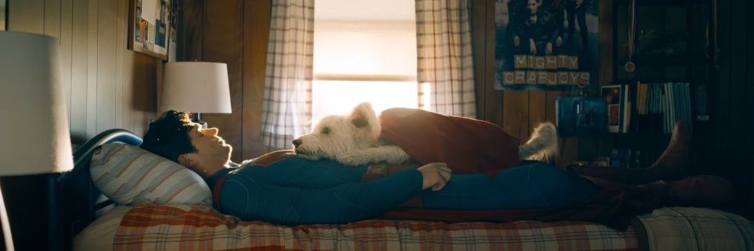 hanno esonerato chivu? banner