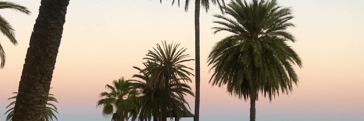 CaitBridgman's profile banner image