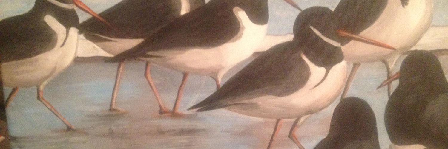 k4ite's profile banner image