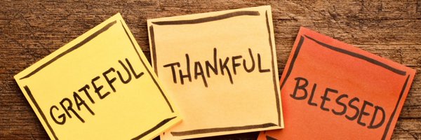 dinolfon Profile Banner