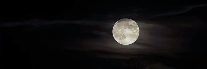 cuняя мuля banner