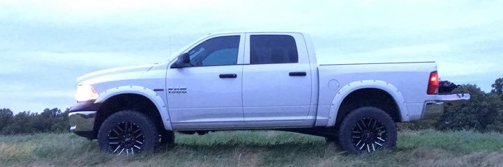littleecker41's profile banner image