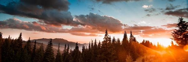 alwayslifetime's profile banner image