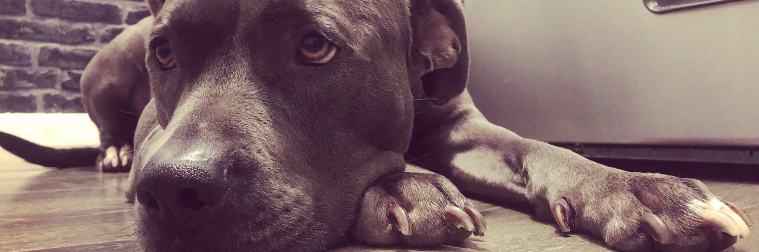 JustinNElamRuff's profile banner image
