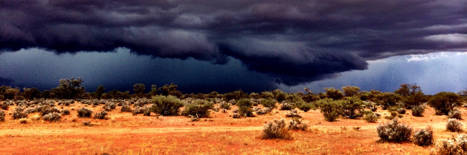 Natalie Clark banner