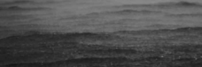 The Shallow Ends banner