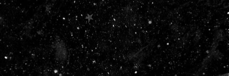 NicoleSerqueira's profile banner image