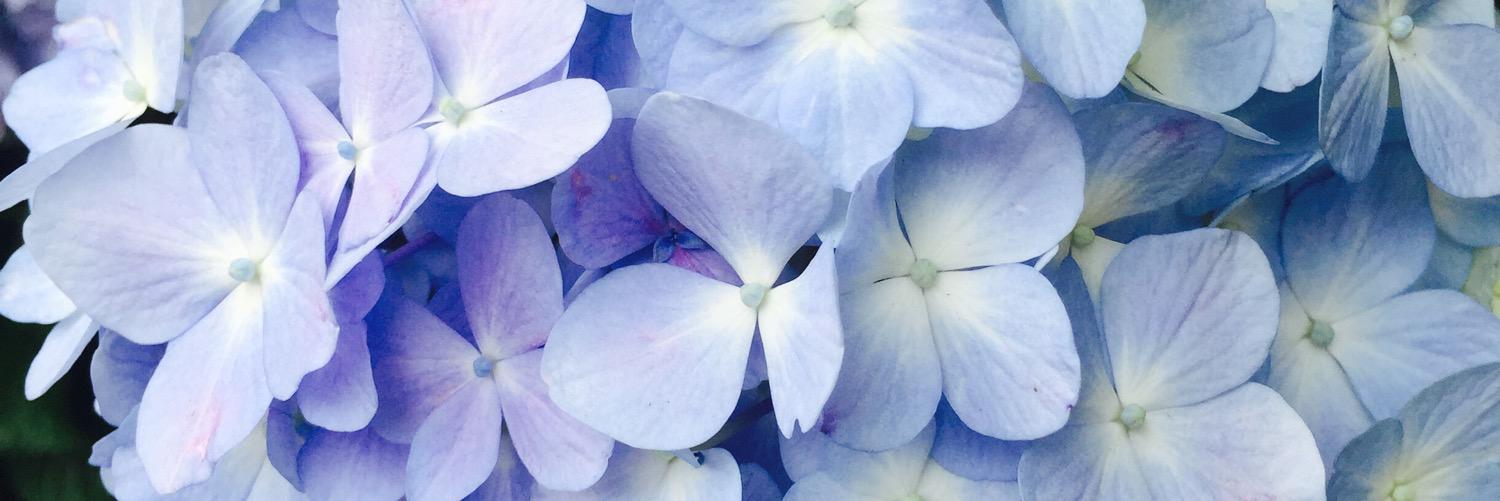 rotyo_'s profile banner image