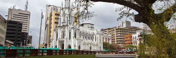 Dario Gomez Perlaza banner