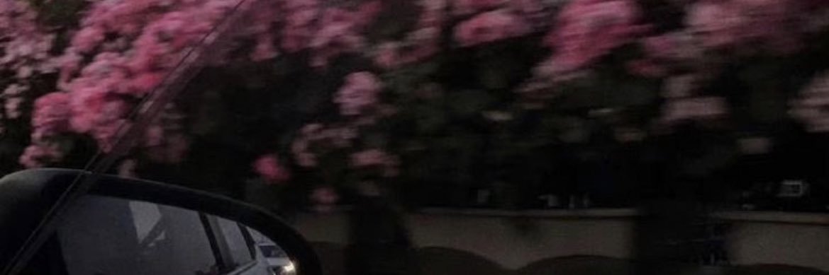 s65_just's profile banner image
